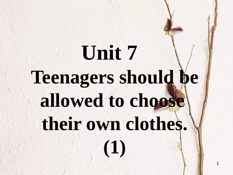 九年级英语全册 口译精练 Unit 7 Teenagers should be allowed to choose their own clothes(1)课件 （新版）人教新目标版_第1页