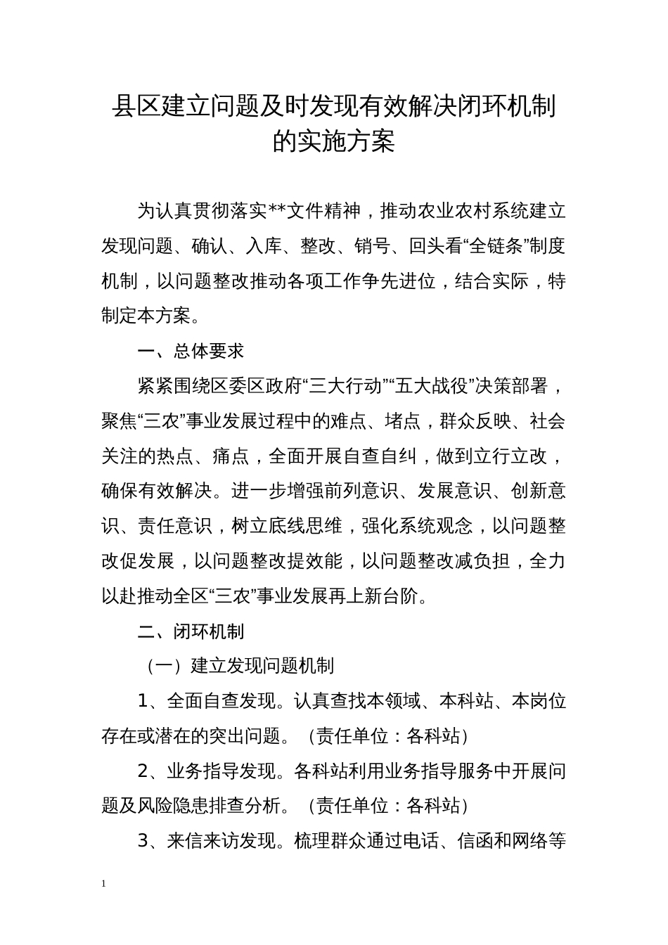 县区建立问题及时发现有效解决闭环机制的实施方案_第1页