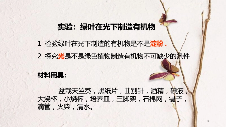 七年级生物上册 第三单元 第四章《绿色植物是生物圈中有机物的制造者》课件 （新版）新人教版_第3页