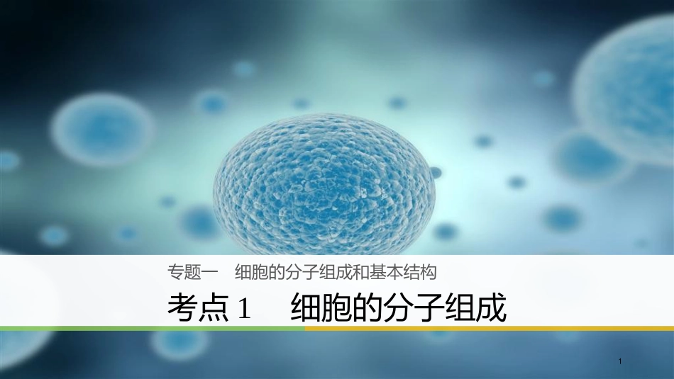 （浙江选考）高三生物二轮专题复习 专题一 细胞的分子组成和基本结构 考点1 细胞的分子组成课件 新人教版_第1页