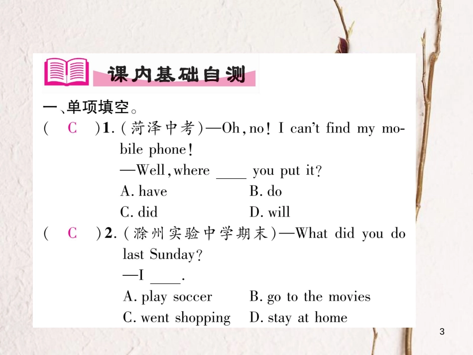 （安徽专版）七年级英语下册 Unit 11 How was your school trip（第1课时）Section A（1a-2d）习题课件 （新版）人教新目标版_第3页