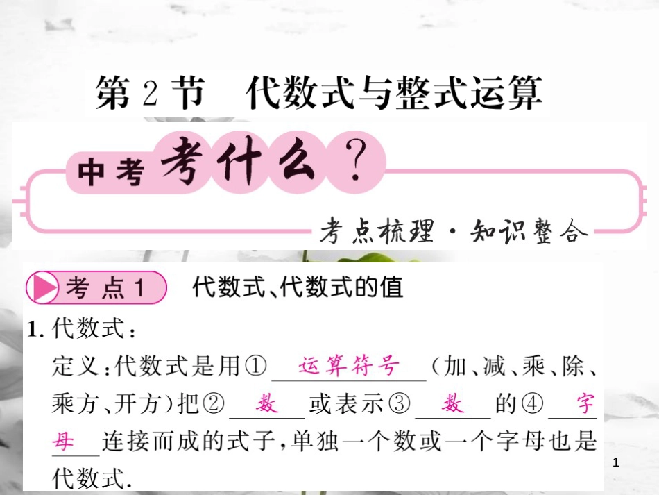 春中考数学总复习 第一轮 同步演练 夯实基础 第一部分 数与代数 第1章 数与式 第2节 代数式与整式运算课件 新人教版_第1页