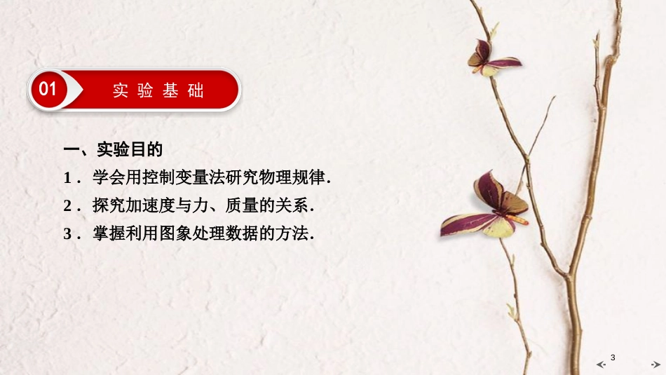 2019年高考物理大一轮复习 实验04 探究加速度与力和质量的关系课件 新人教版_第3页