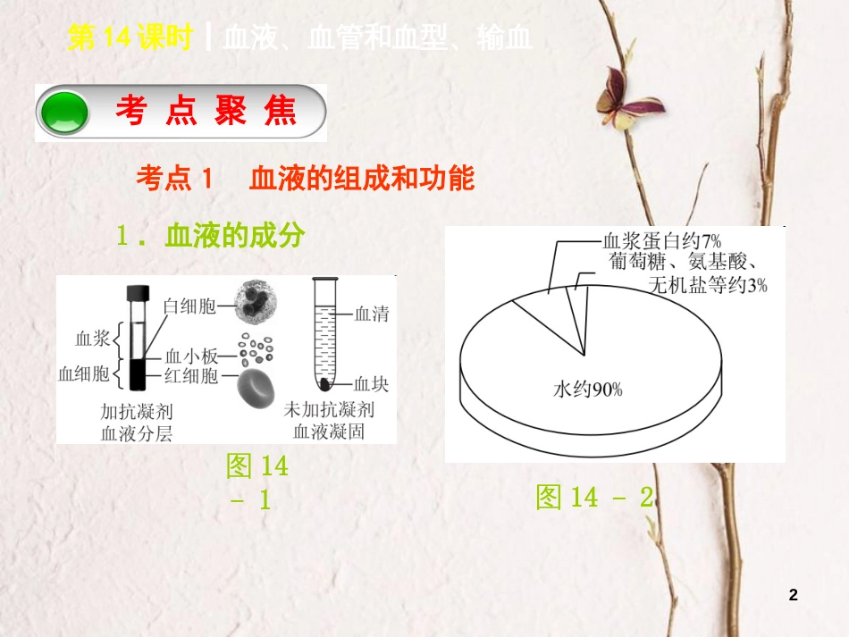 中考生物 第四单元 生物圈中的人 第14课时 血液、血管和血型、输血课件_第2页