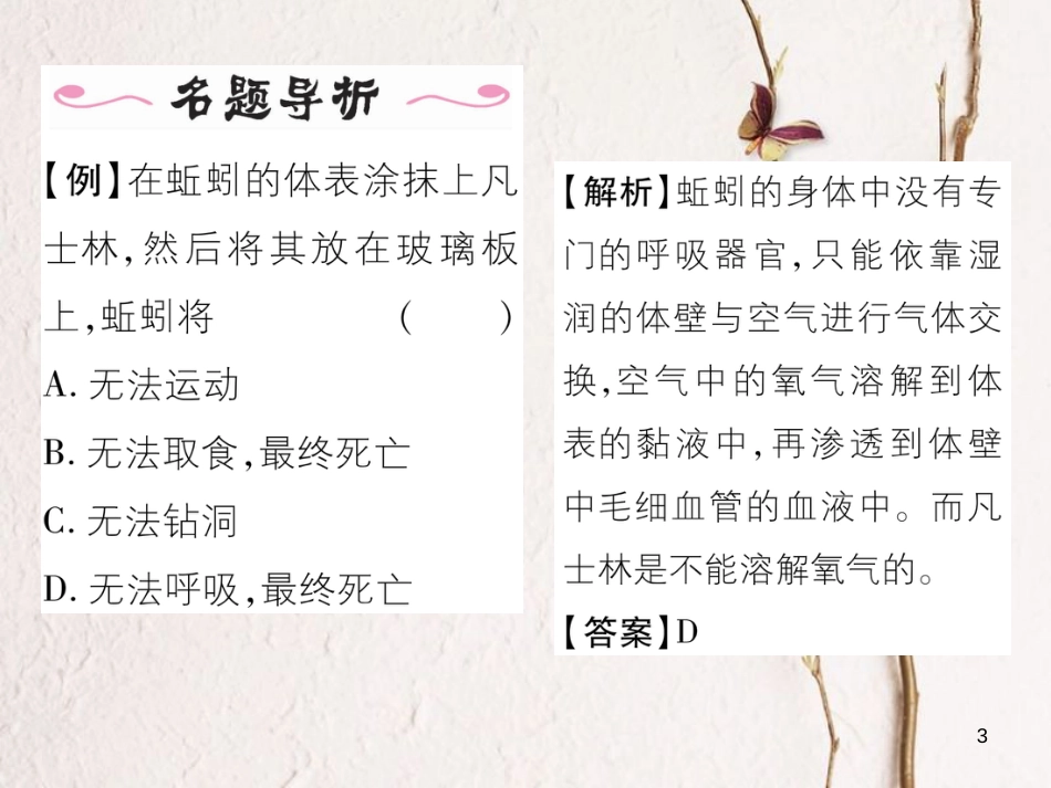 八年级生物上册 第五单元 第1章 第二节 线形动物和环节动物课件 （新版）新人教版_第3页