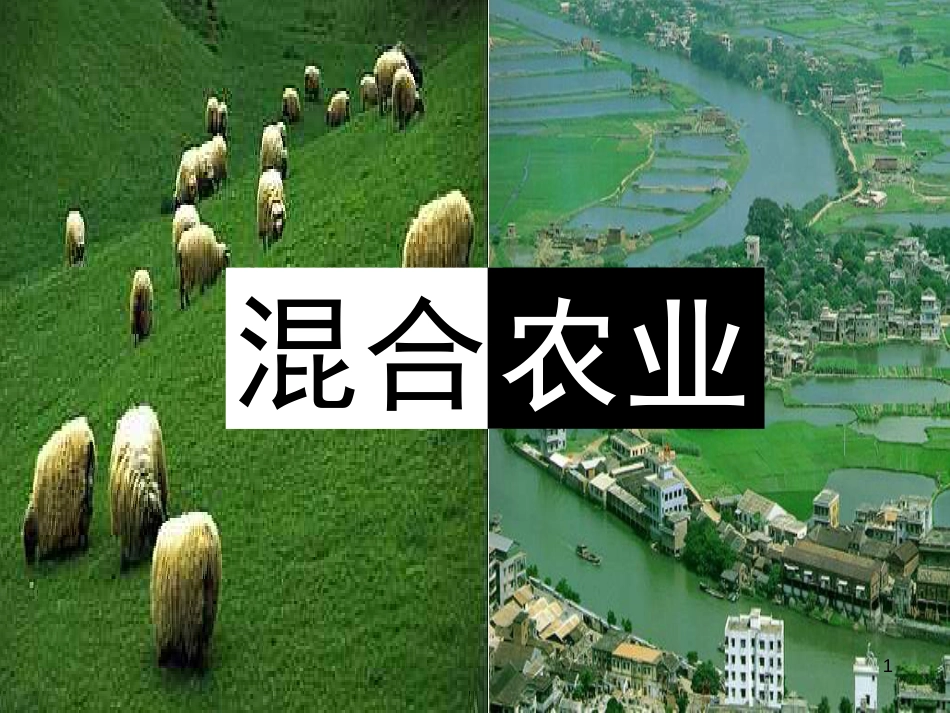 高中地理 第三章 区域产业活动 第二节 农业区位因素与农业地域类型课件2 湘教版必修2_第1页