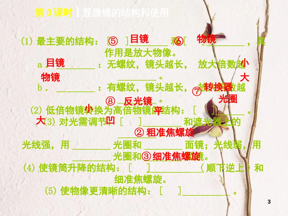 中考生物 第二单元 生物体的结构层次 第3课时 显微镜的结构和使用课件_第3页
