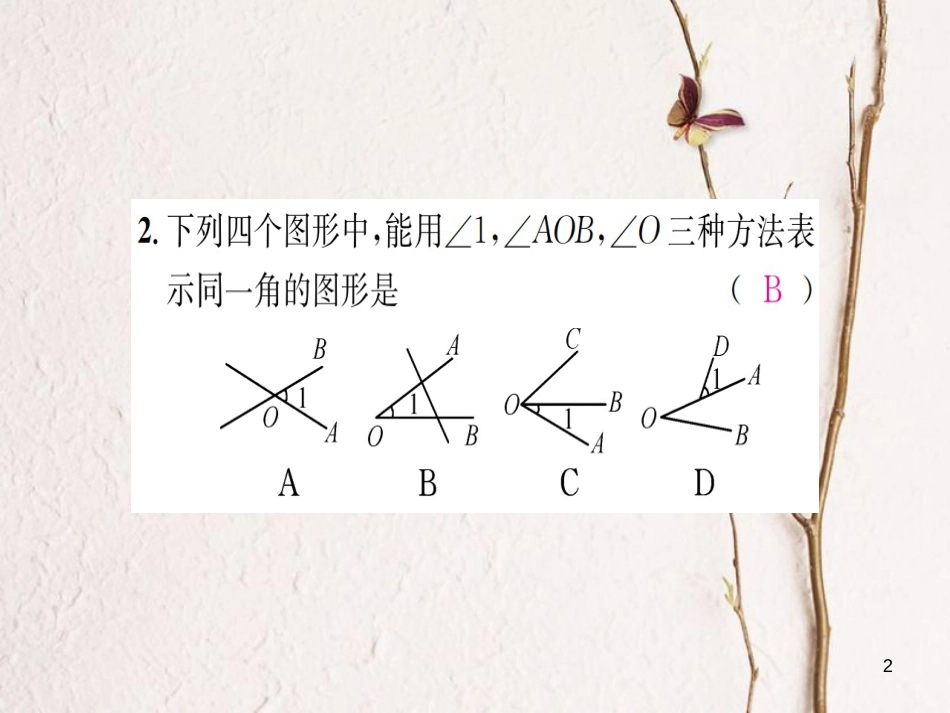 七年级数学上册 4.3 角 4.3.1 角习题课件 （新版）湘教版_第2页