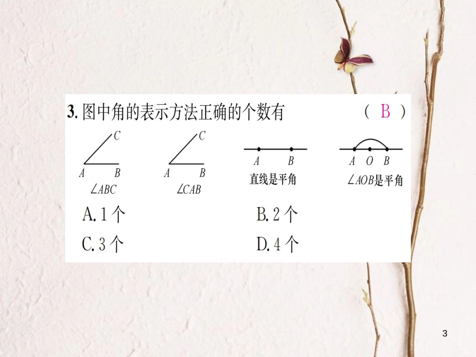 七年级数学上册 4.3 角 4.3.1 角习题课件 （新版）湘教版_第3页