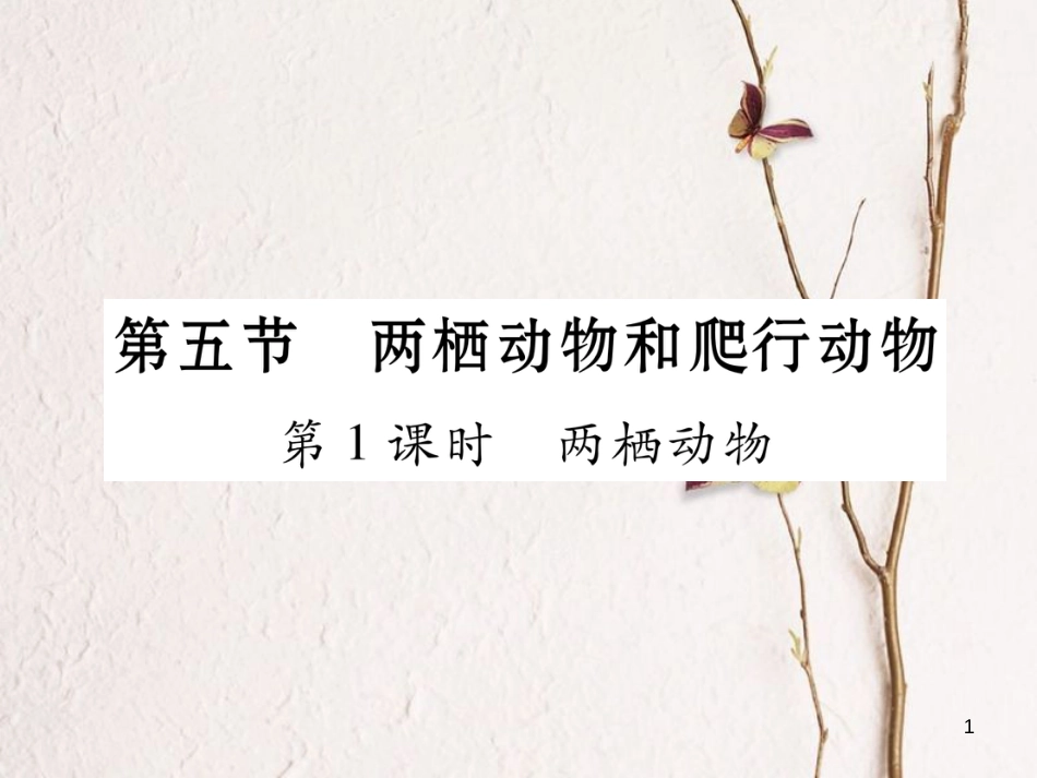 八年级生物上册 第五单元 第1章 第五节 两栖动物和爬行（第1课时 两栖动物）课件 （新版）新人教版_第1页