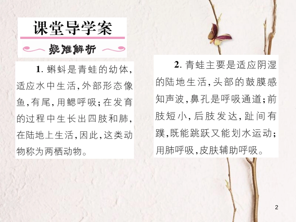 八年级生物上册 第五单元 第1章 第五节 两栖动物和爬行（第1课时 两栖动物）课件 （新版）新人教版_第2页