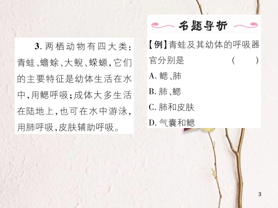 八年级生物上册 第五单元 第1章 第五节 两栖动物和爬行（第1课时 两栖动物）课件 （新版）新人教版_第3页