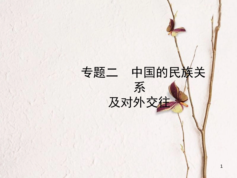 山东省德州市中考历史总复习 专题二 中国的民族关系及对外交往课件_第1页