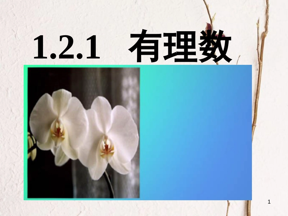 七年级数学上册 1.2.1 有理数课件 （新版）新人教版_第1页