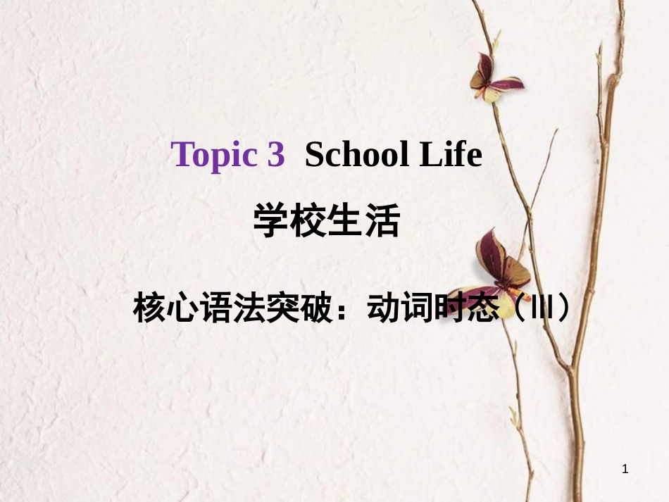 河北省中考英语总复习 Topic 3 School Life 3 动词时态（Ⅲ）课件_第1页