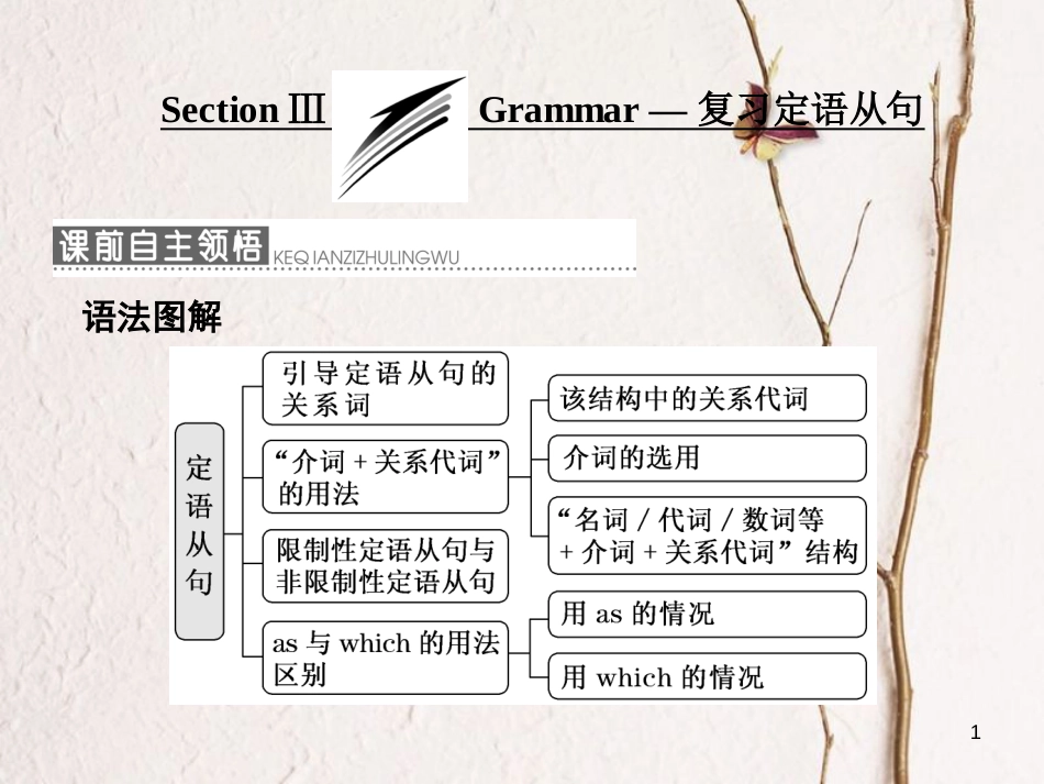 高中英语 Module 6 Animals in Danger Section Ⅲ Grammar-复习定语从句课件 外研版必修5_第1页