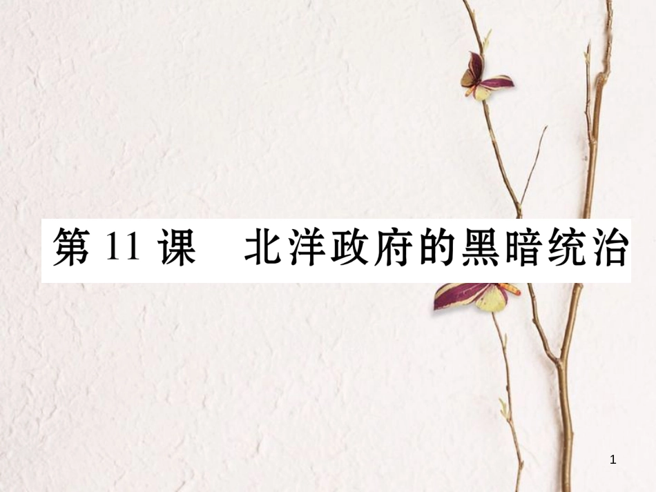 八年级历史上册 第三单元 资产阶级革命与中华民国的建立 第11课 北洋政府的黑暗统治作业课件 新人教版_第1页