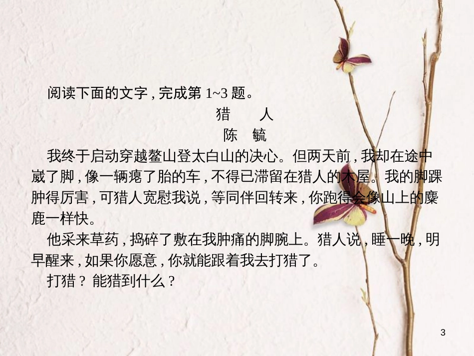 （新课标）高三语文二轮复习 专题二 小说阅读 4 文本探究课件_第3页
