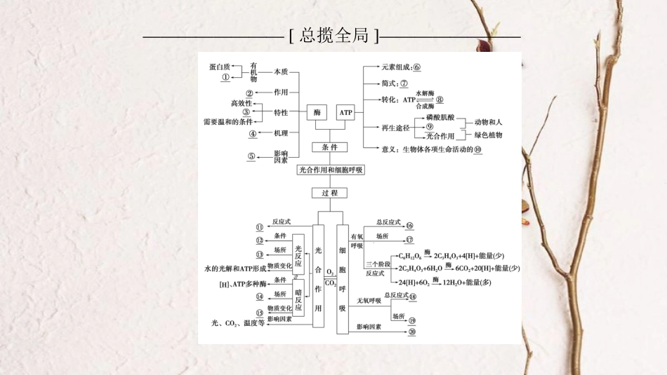 2019版高考生物一轮复习 第3单元 光合作用和细胞呼吸单元网络构建课件 苏教版_第2页