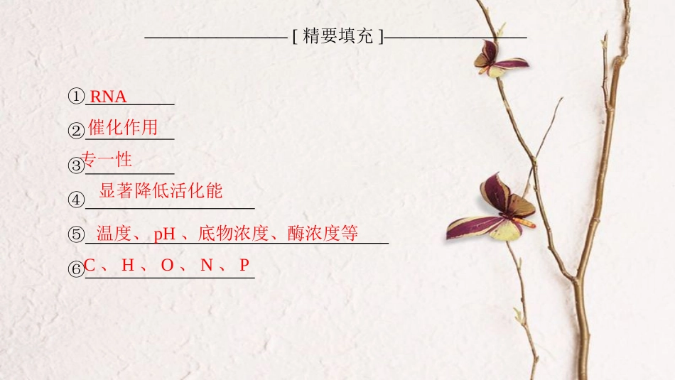 2019版高考生物一轮复习 第3单元 光合作用和细胞呼吸单元网络构建课件 苏教版_第3页