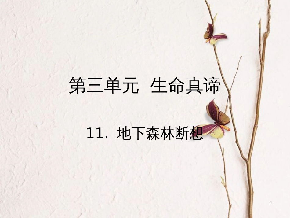 2018九年级语文下册 第三单元 11 地下森林断想课件 （新版）新人教版(1)_第1页