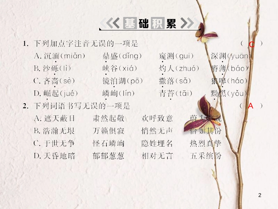 2018九年级语文下册 第三单元 11 地下森林断想课件 （新版）新人教版(1)_第2页