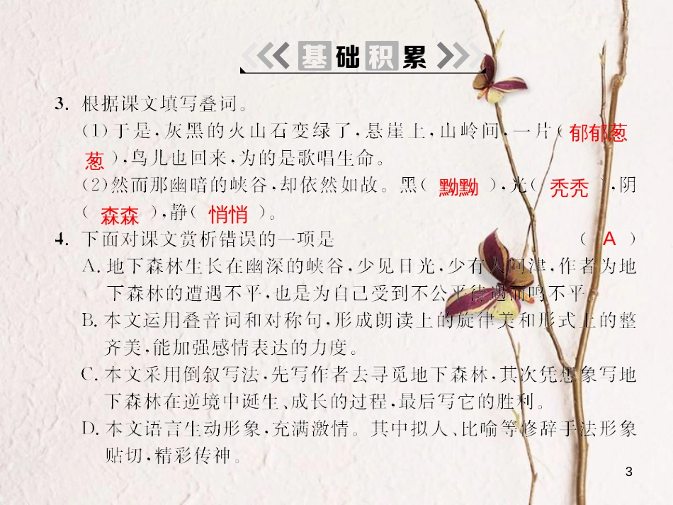 2018九年级语文下册 第三单元 11 地下森林断想课件 （新版）新人教版(1)_第3页