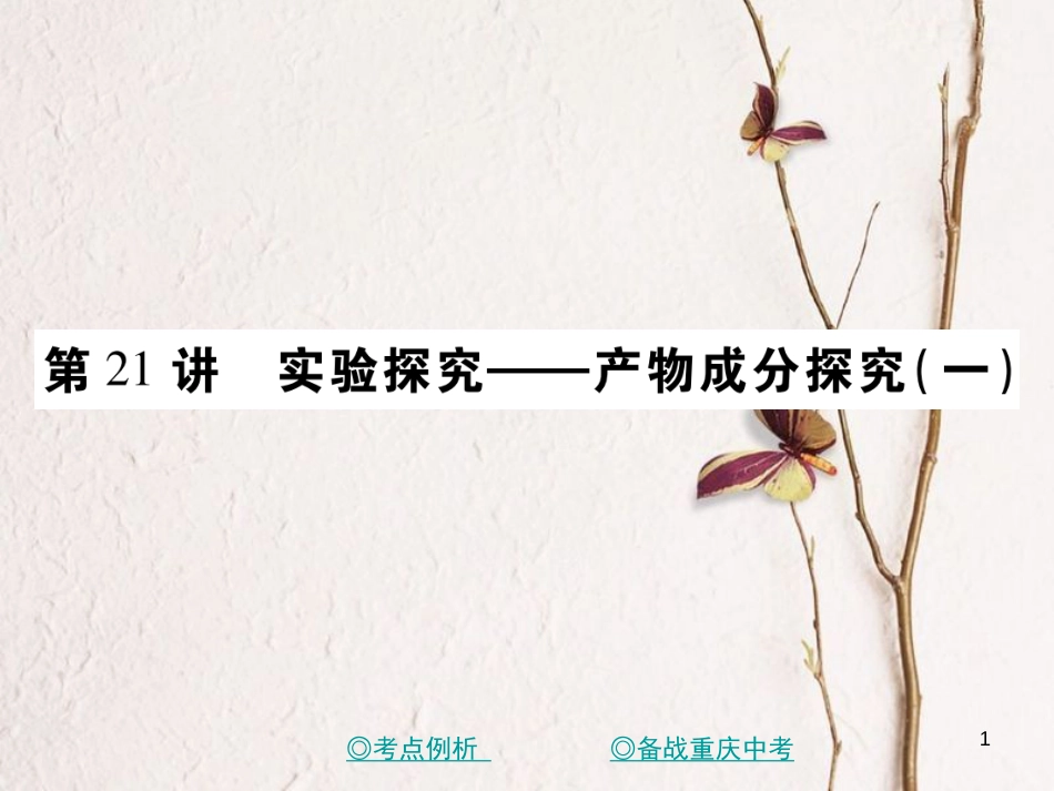 （重庆专版）中考化学总复习 第二篇 重点题型突破 第21讲 实验探究—产物成分探究（一）课件_第1页