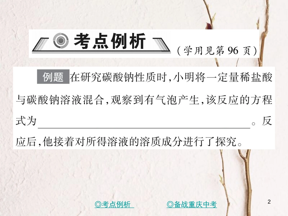 （重庆专版）中考化学总复习 第二篇 重点题型突破 第21讲 实验探究—产物成分探究（一）课件_第2页