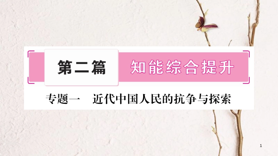 中考历史总复习 第二篇 知能综合提升 专题1 近代中国人民的抗争与探索课件_第1页