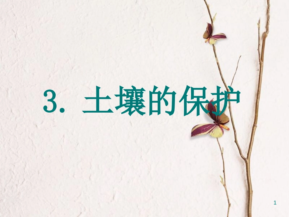 三年级科学上册 3.3 土壤的保护课件3 湘教版_第1页