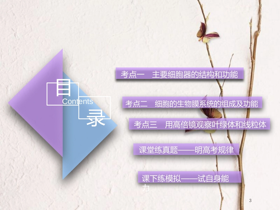（全国通用版）2019版高考生物一轮复习 第1部分 分子与细胞 第二单元 细胞的结构与物质的输入和输出 第2讲 细胞器——系统内的分工与合作精准备考实用课件_第3页