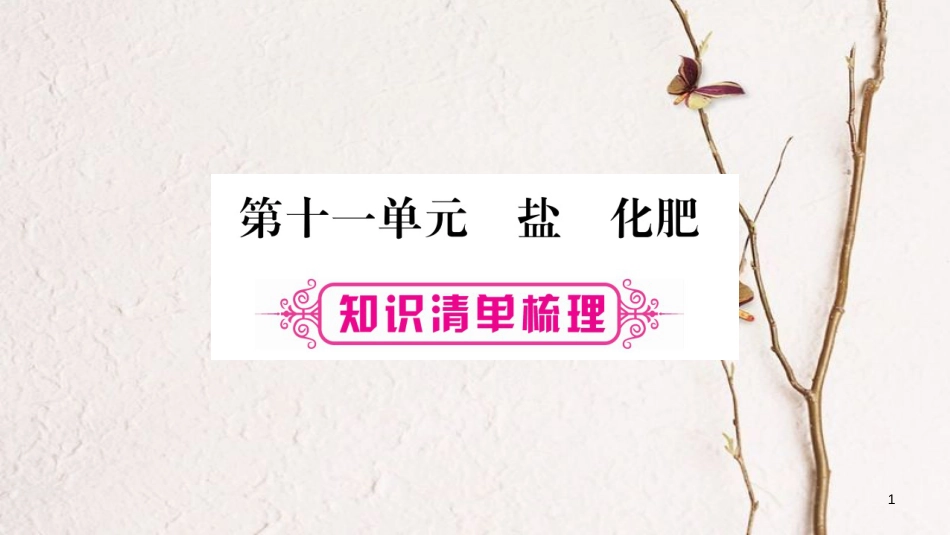 湖南省2018中考化学复习 第1部分 教材系统复习 第11单元 盐 化肥课件_第1页