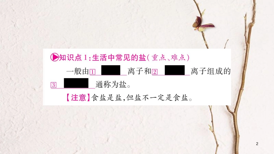 湖南省2018中考化学复习 第1部分 教材系统复习 第11单元 盐 化肥课件_第2页