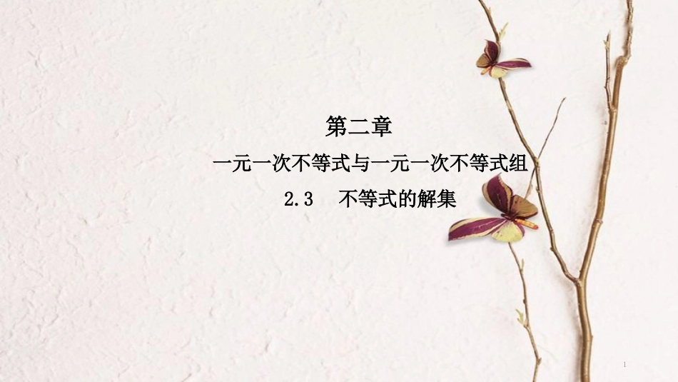 八年级数学下册 第二章 一元一次不等式和一元一次不等式组 2.3 不等式的解集导学课件 （新版）北师大版_第1页
