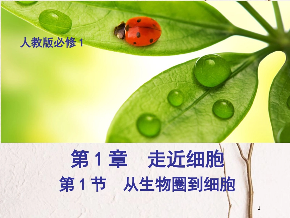 云南省峨山彝族自治县高中生物 第一章 走近细胞 1.1 从生物圈到细胞1课件 新人教版必修1_第1页