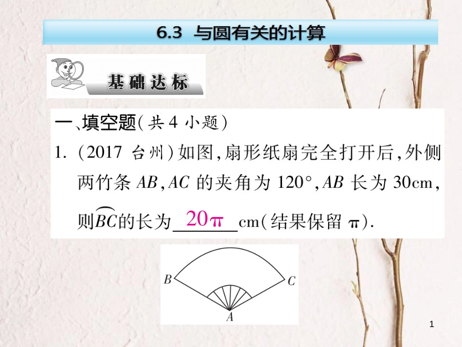 云南省中考数学总复习 第六章 圆 6.3 与圆有关的计算课件_第1页