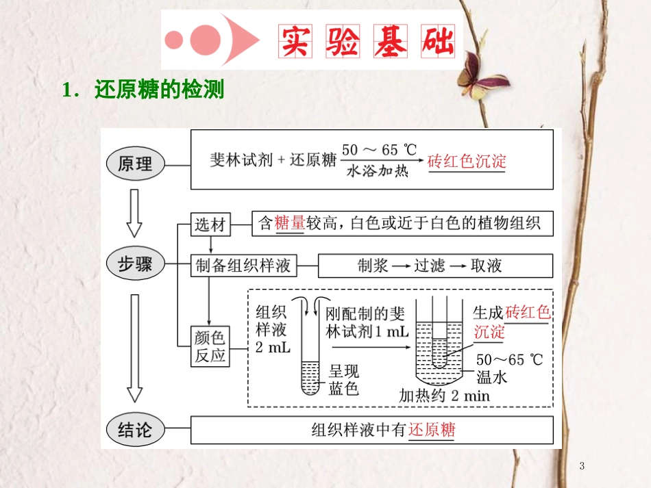 （全国通用版）2019版高考生物一轮复习 第1部分 分子与细胞 第一单元 细胞及其分子组成 第3讲 检测生物组织中的糖类、脂肪和蛋白质课件_第3页