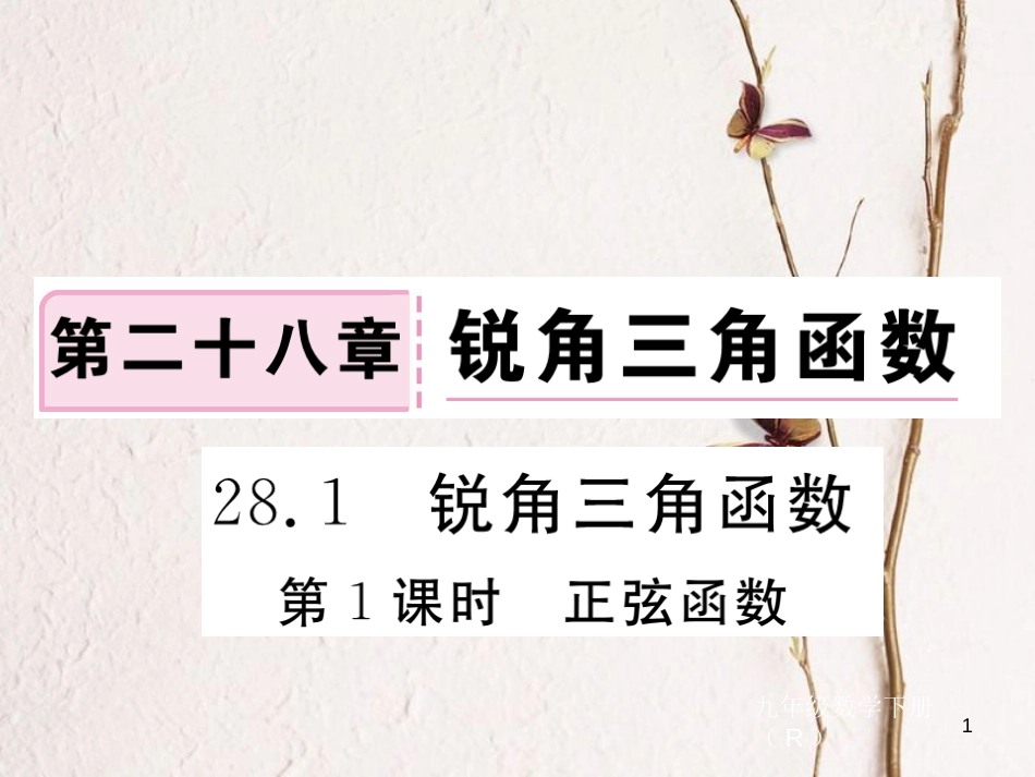 江西省2018年春九年级数学下册 第二十八章 锐角三角函数 28.1 第1课时 正弦函数练习课件 （新版）新人教版_第1页