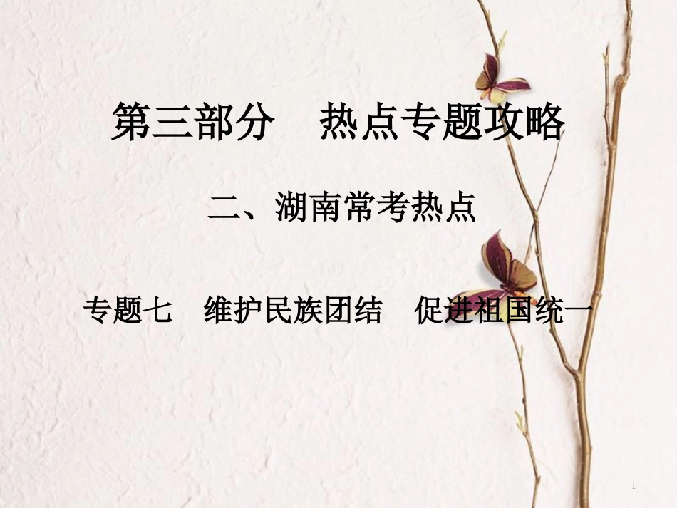 湖南省中考政治第三部分热点专题攻略专题七维护民族团结促进祖国统一课件新人教版_第1页