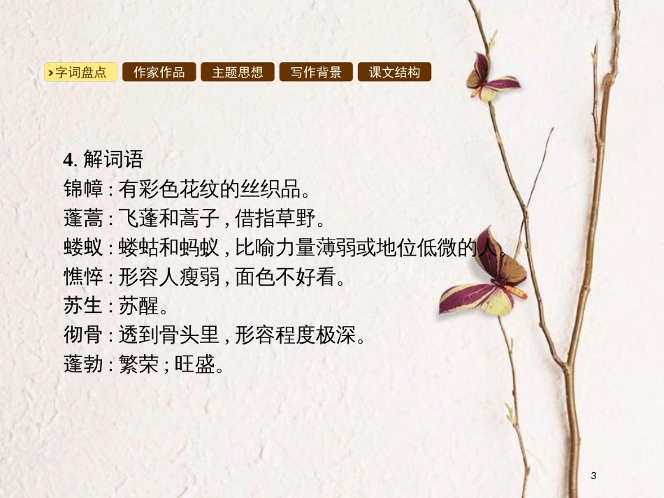 2018年九年级语文下册 第一单元 2 我用残损的手掌课件 （新版）新人教版_第3页