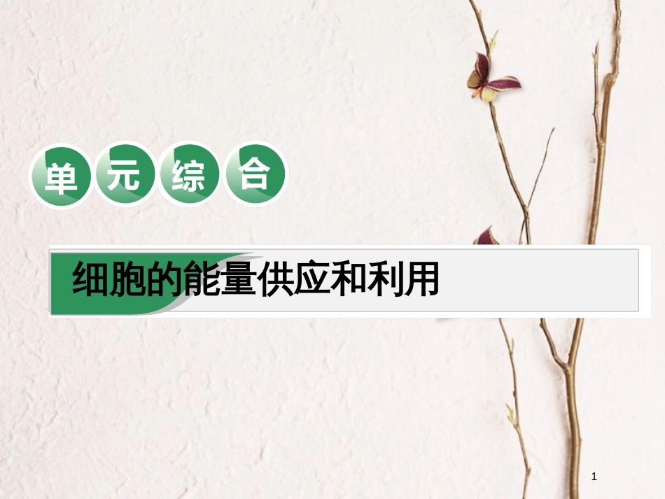 2019版高考生物一轮复习 第三单元 细胞的能量供应和利用单元综合精选课件_第1页