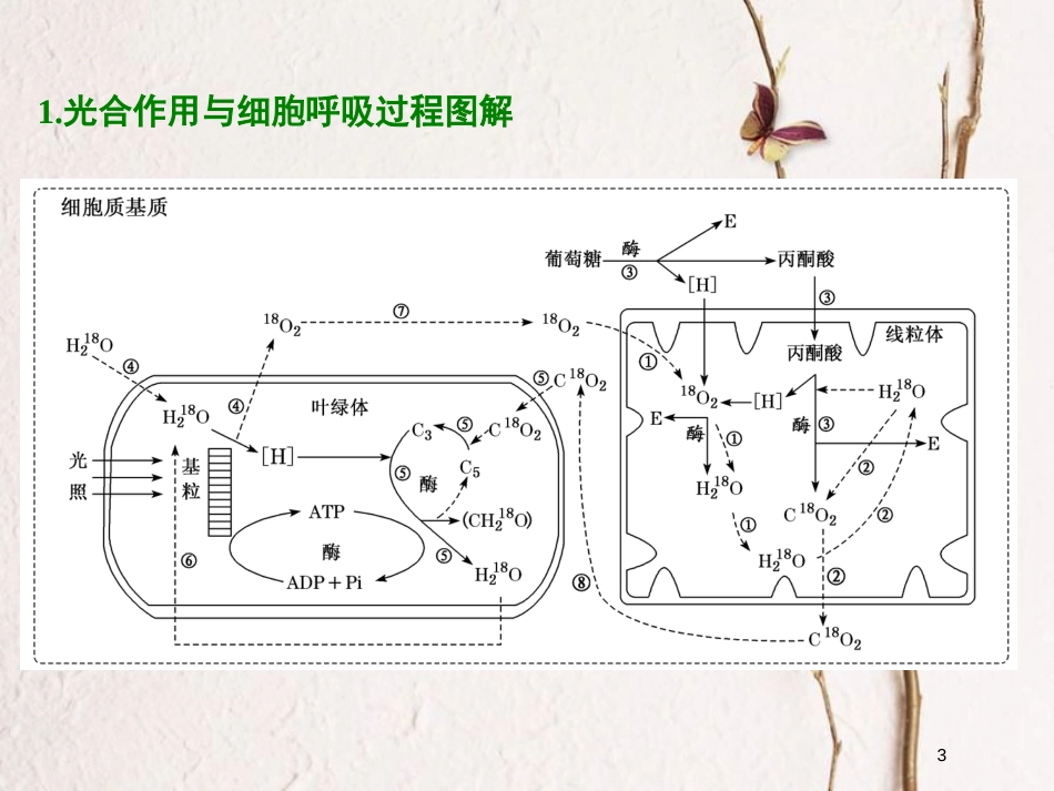 2019版高考生物一轮复习 第三单元 细胞的能量供应和利用单元综合精选课件_第3页