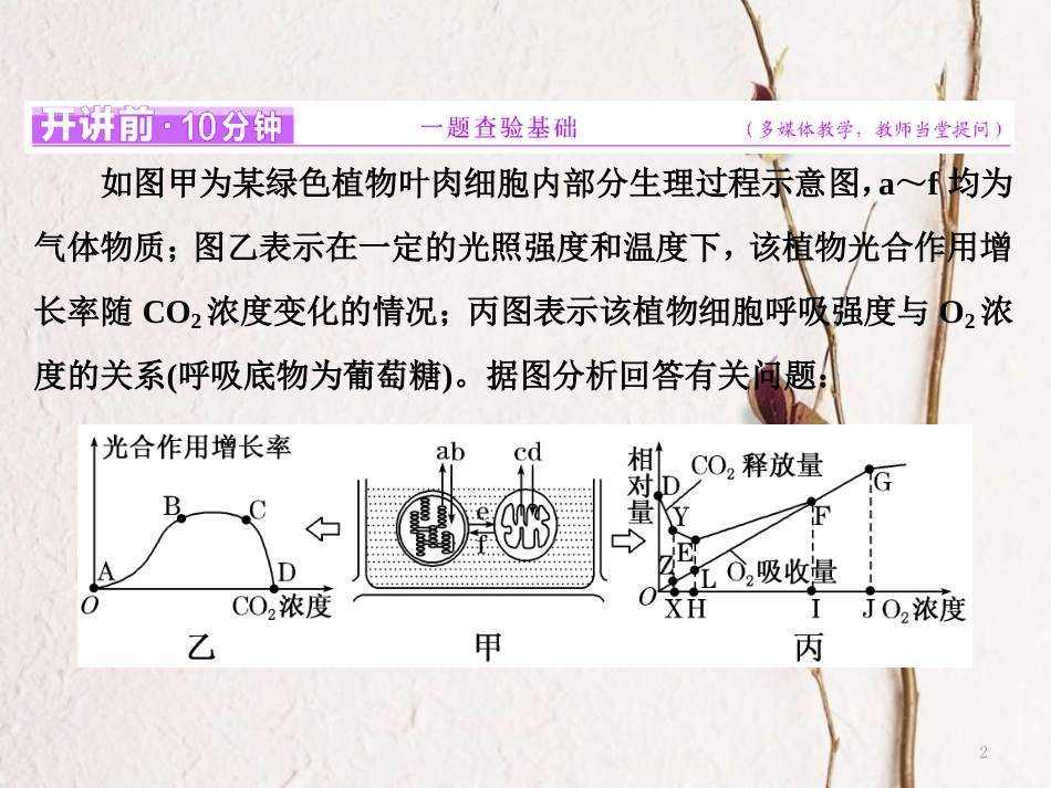 （全国通用）高考生物二轮复习 专题二 代谢 串讲二 细胞呼吸与光合作用 第2课时 高考研究课件_第2页
