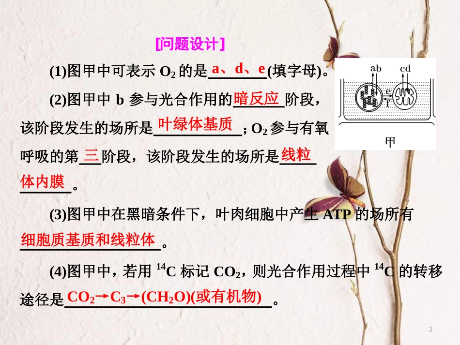 （全国通用）高考生物二轮复习 专题二 代谢 串讲二 细胞呼吸与光合作用 第2课时 高考研究课件_第3页