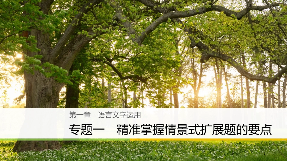 （浙江专用）高考语文大二轮复习与增分策略 第一章 语言文字运用 专题一 精准掌握情景式扩展题的要点课件_第1页