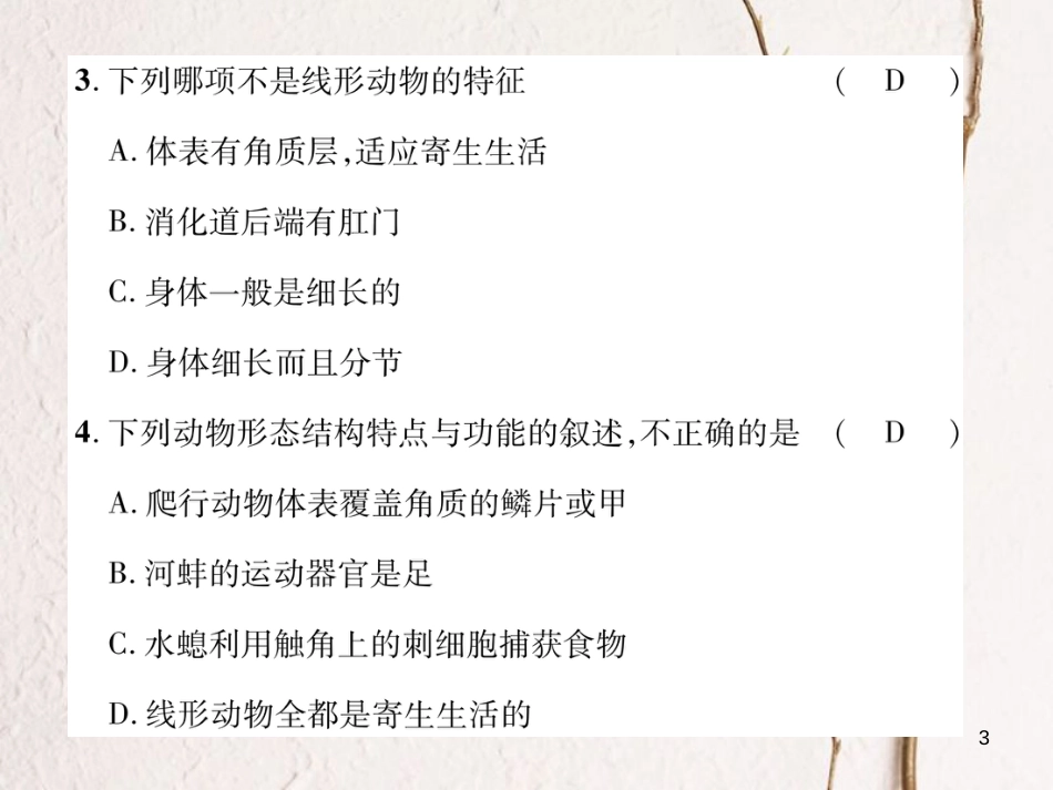 八年级生物上册 第五单元 第一章 动物的主要类群达标测试课件 （新版）新人教版_第3页