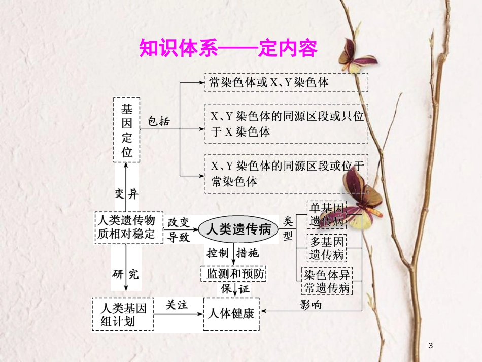 2019版高考生物一轮复习 第五单元 遗传的基本规律与伴性遗传 第四讲 人类遗传病与基因定位精选课件_第3页
