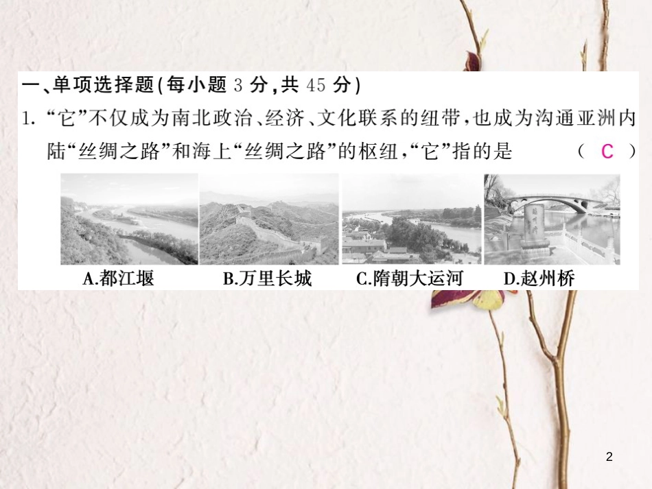 七年级历史下册 期中综合测试卷课件 新人教版[共26页]_第2页