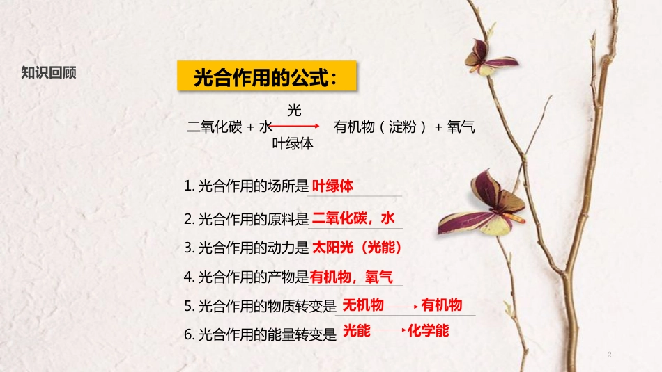七年级生物上册 第三单元 第五章 第二节《绿色植物的呼吸作用》课件 （新版）新人教版_第2页